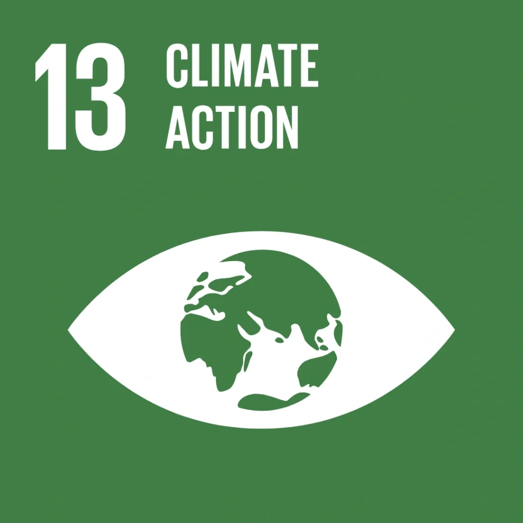 Climate Action_ UN Sustainable Development Goals